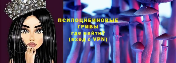 стаф Янаул