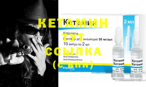прущие грибы Костерёво