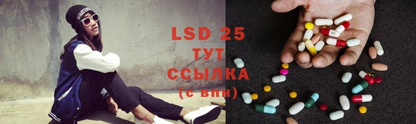 прущие грибы Костерёво