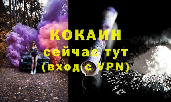 ПСИЛОЦИБИНОВЫЕ ГРИБЫ Корсаков