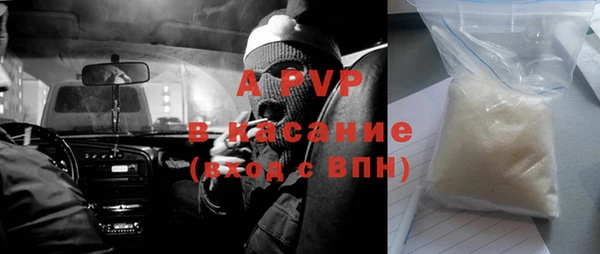 ПСИЛОЦИБИНОВЫЕ ГРИБЫ Корсаков