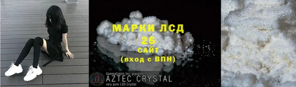 прущие грибы Костерёво