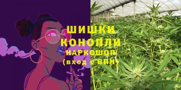 ПСИЛОЦИБИНОВЫЕ ГРИБЫ Корсаков