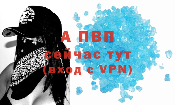 ПСИЛОЦИБИНОВЫЕ ГРИБЫ Корсаков