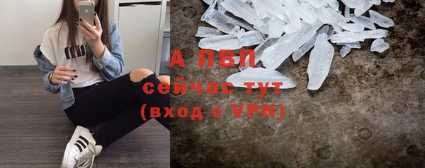 ПСИЛОЦИБИНОВЫЕ ГРИБЫ Корсаков