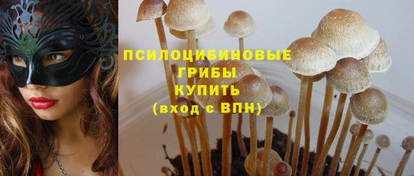 прущие грибы Костерёво