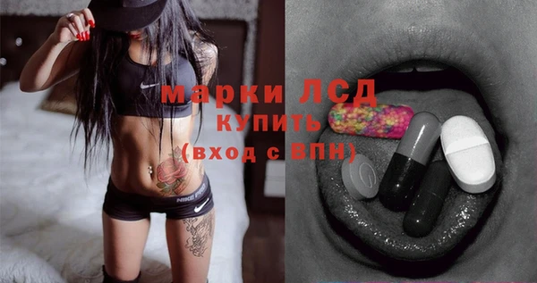 прущие грибы Костерёво