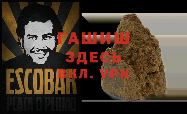 прущие грибы Костерёво