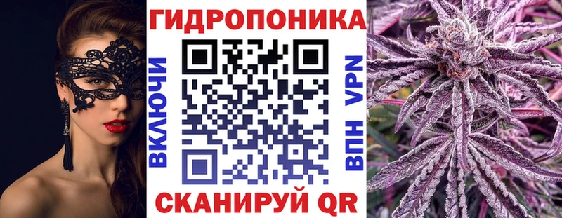 Купить закладки  Железноводск  Бошки Шишки Ganja 
